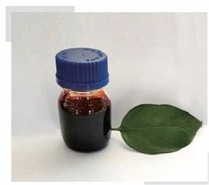 Z-113 環氧樹脂固化劑